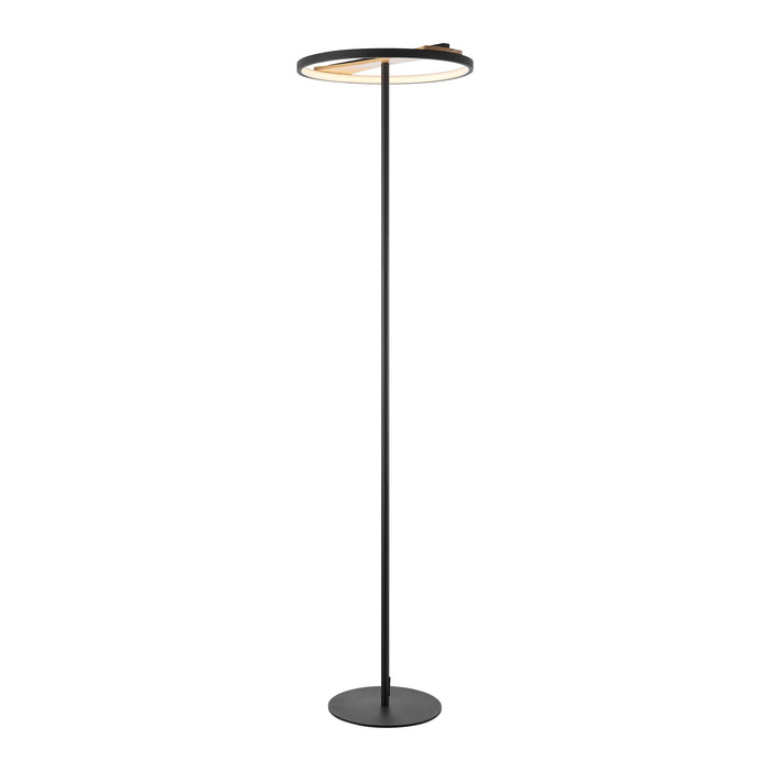 Floor Lamp Satin Black Iron & Wood