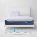 Essential - Sheet Set - DecorGalore4U