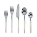 Frose - Stainless Steel Flatware (Set of 5) - Silver - DecorGalore4U