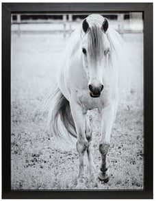 Gentle Approach Framed Print