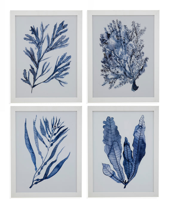 Seaweed Under Water Framed Print Set of 4