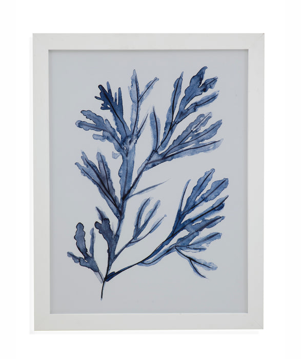 Seaweed Under Water I Framed Print