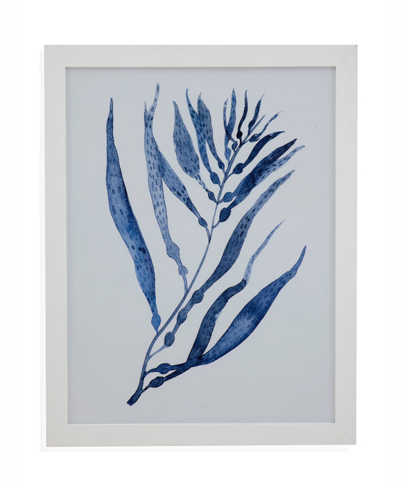 Seaweed Under Water III Framed Print