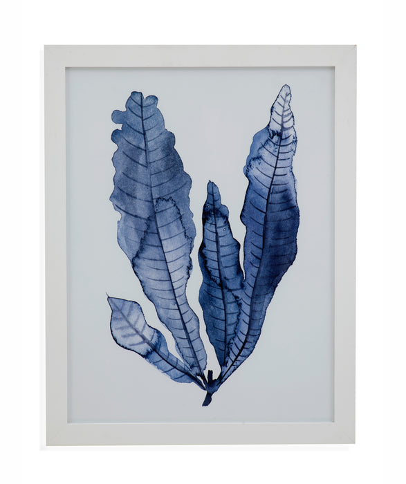 Seaweed Under Water IV Framed Print