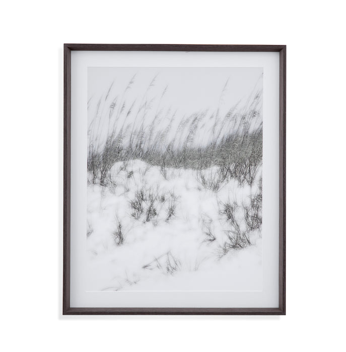 Lush Dunes V Framed Print