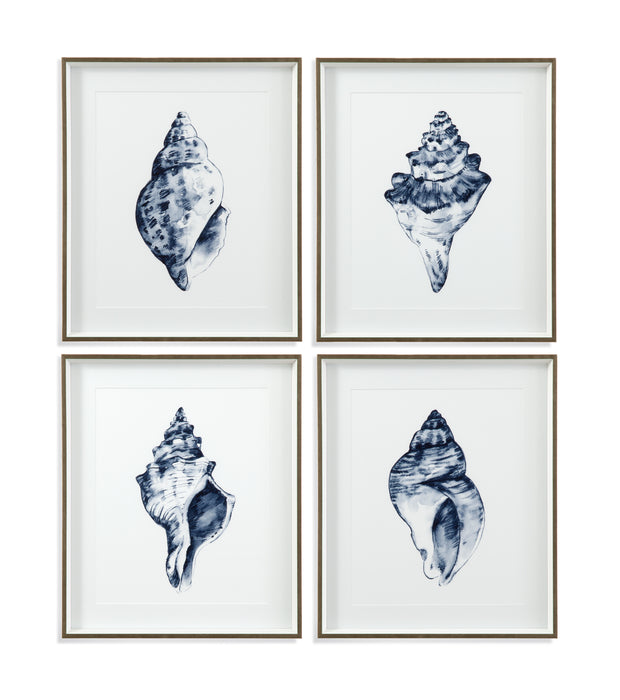 Quiet Conch In Indigo Framed Print Set of 4