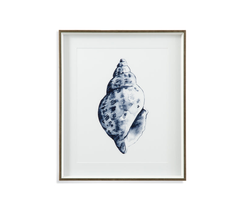 Quiet Conch In Indigo II Framed Print