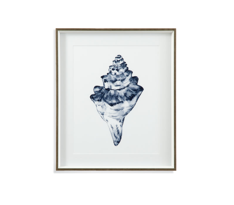 Quiet Conch In Indigo III Framed Print