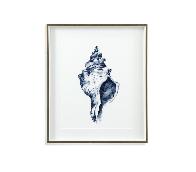 Quiet Conch In Indigo IV Framed Print