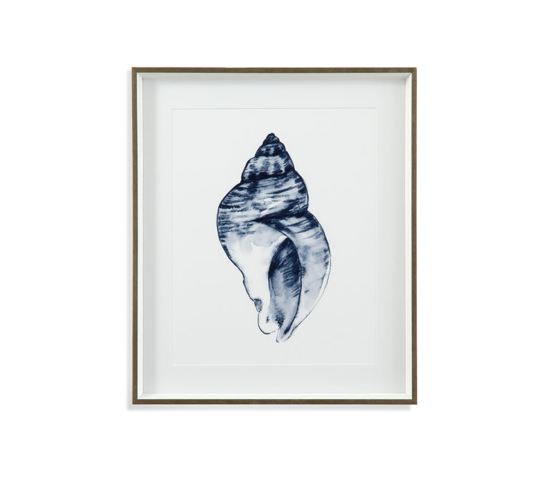 Quiet Conch In Indigo I Framed Print