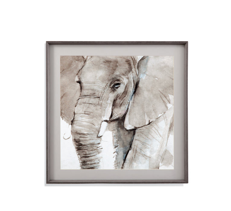 Elephant Grooves I Framed Print