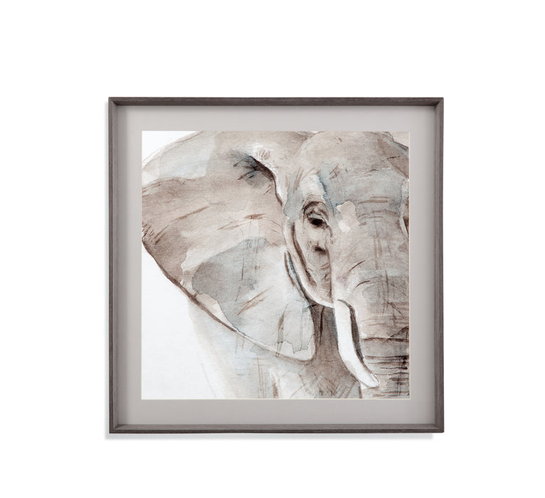 Elephant Grooves II Framed Print