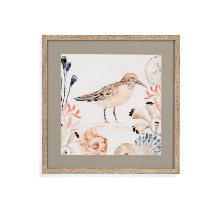 Shell Pipers III Framed Print