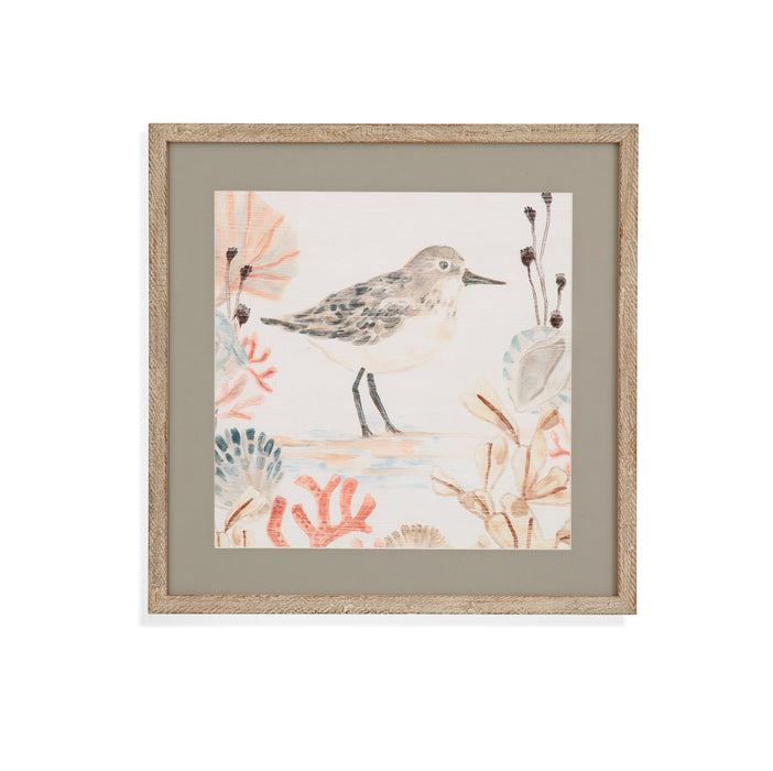 Shell Pipers I Framed Print