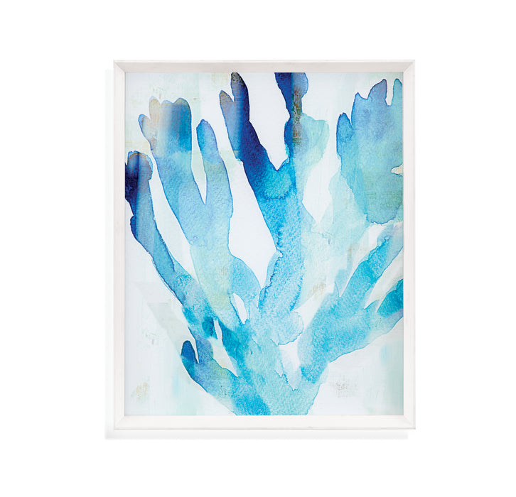 Undersea II Framed Print