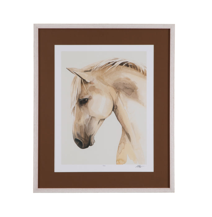 Golden Palomino II Framed Print