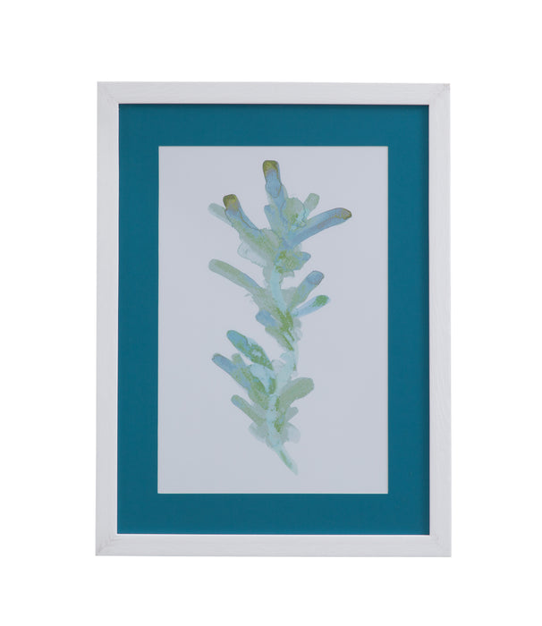 Watercolor Seaweed I Framed Print