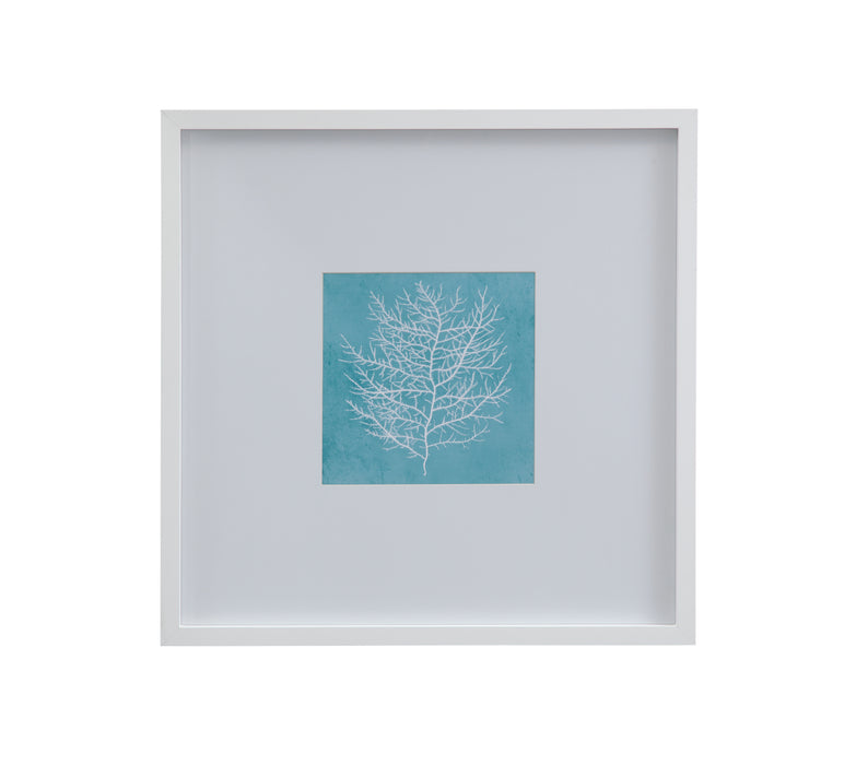 White Coral on Blue II Framed Print