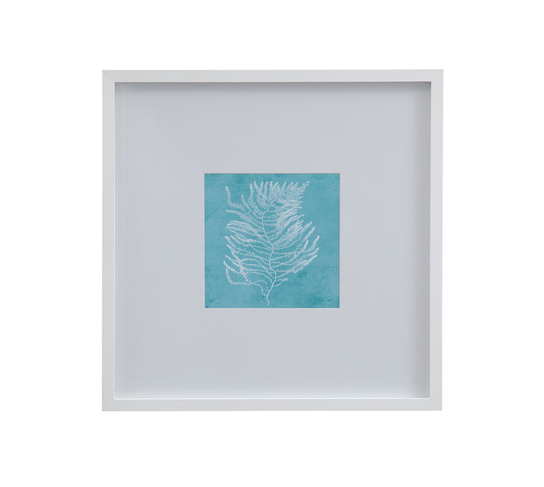 White Coral on Blue III Framed Print