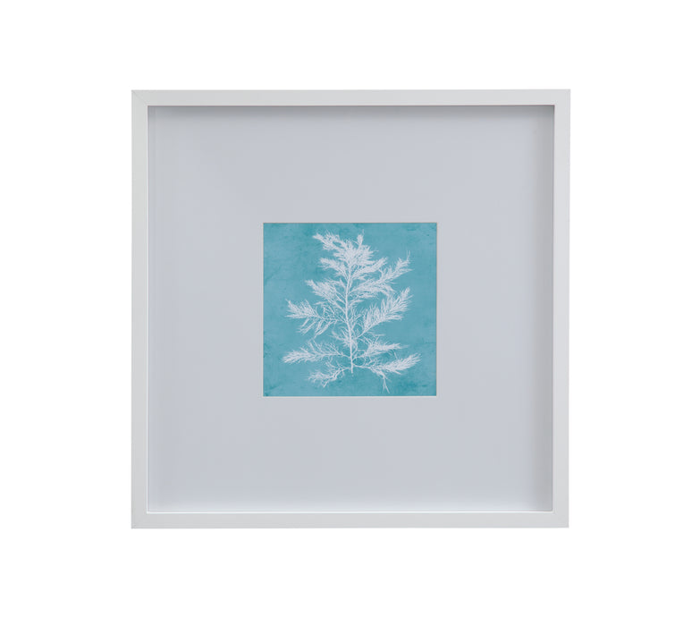 White Coral on Blue IV Framed Print