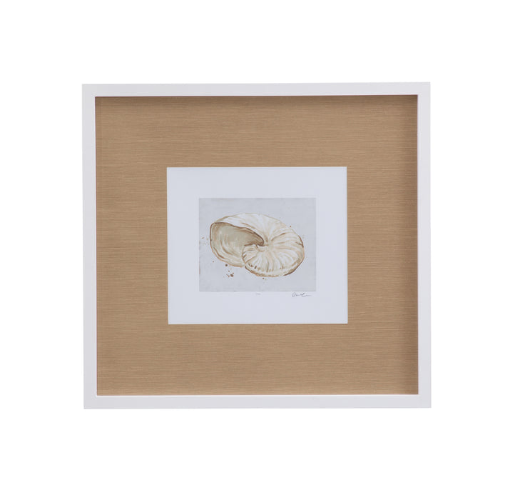 Neutral Shell Fresco I Framed Print