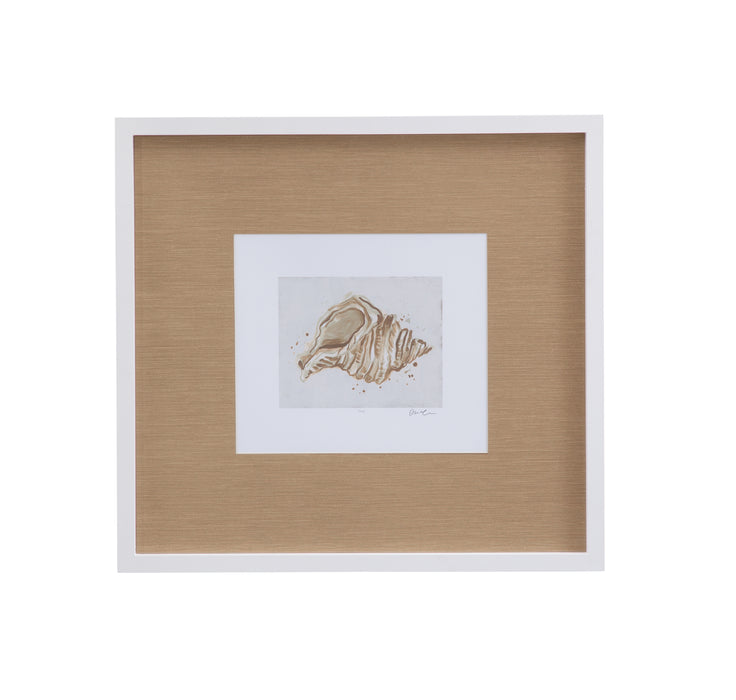 Neutral Shell Fresco II Framed Print