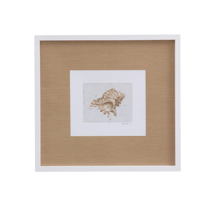 Neutral Shell Fresco III Framed Print