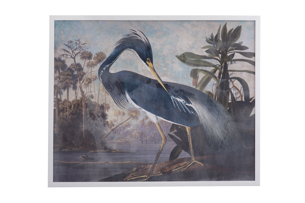 Blue Heron Framed Print