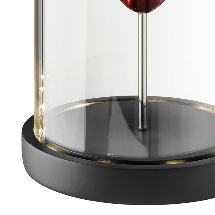 Heart in a Box Resin and Glass LED Sculpture