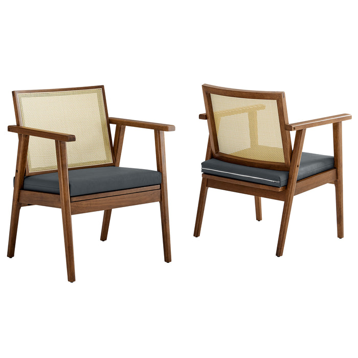 Thera Vegan Leather and Cane Accent Armchairs Set of 2 by Modway