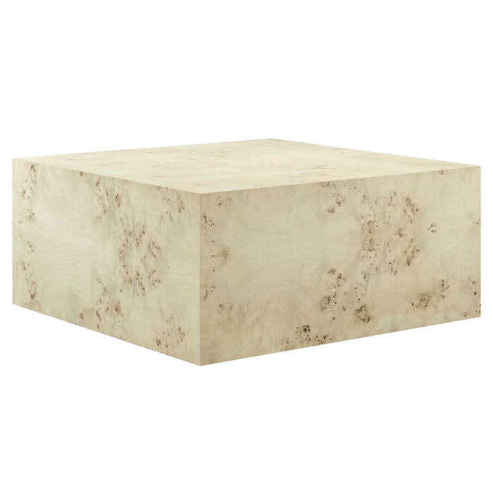 Cosmos 36" Square Burl Wood Coffee Table by Modway