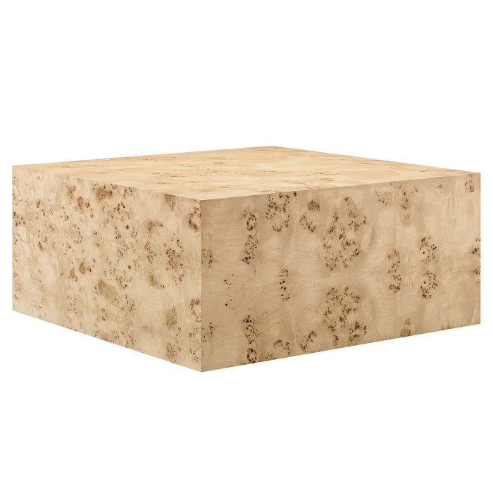 Cosmos 36" Square Burl Wood Coffee Table by Modway