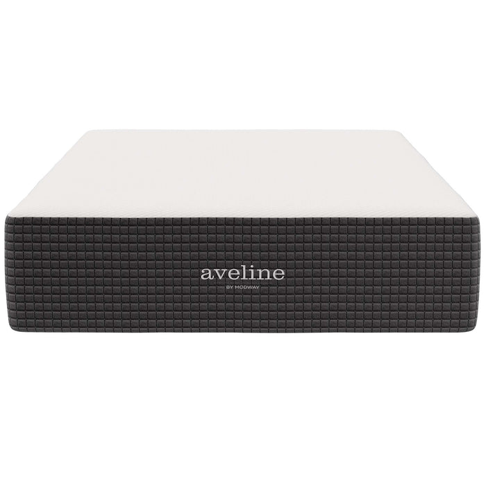 Aveline 14" Memory Foam Full Mattress by Modway