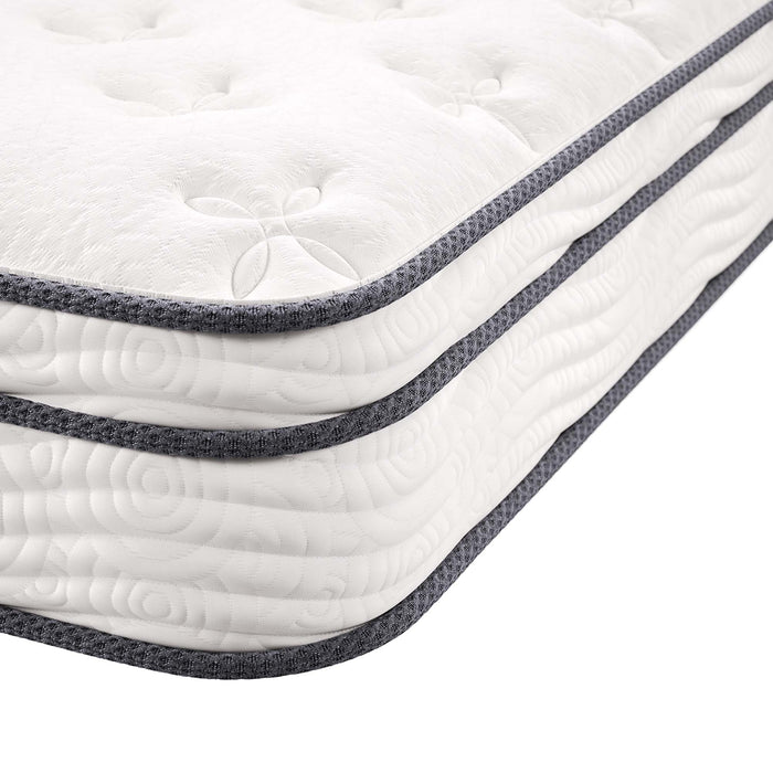 Jenna 8" Innerspring and Foam Full Mattress by Modway