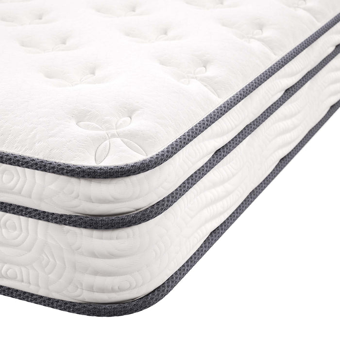 Jenna 8" Innerspring and Foam Queen Mattress by Modway