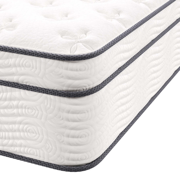 Jenna 14" Innerspring and Foam Queen Mattress by Modway