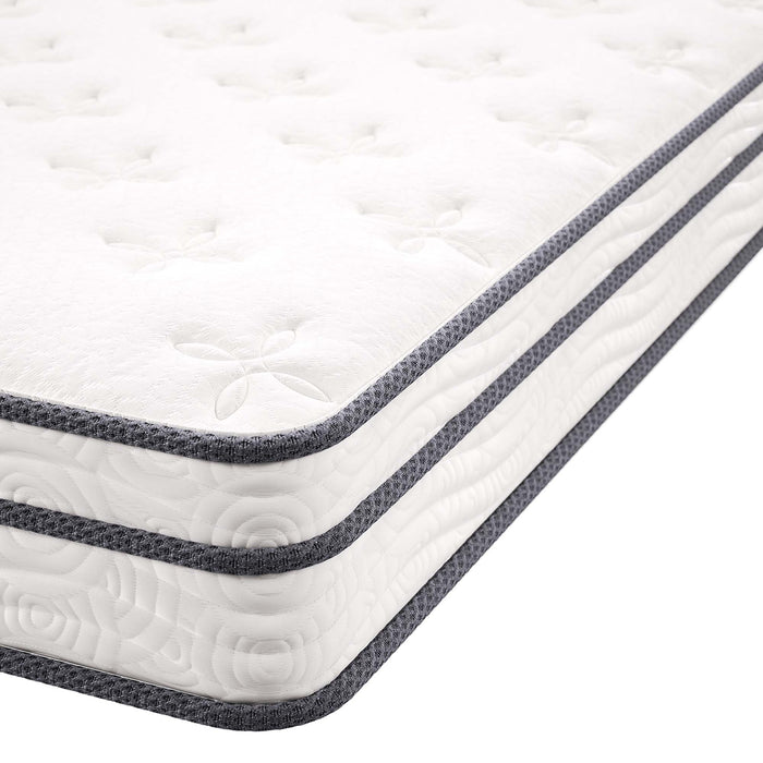 Jenna 6" Innerspring and Foam Queen Mattress by Modway