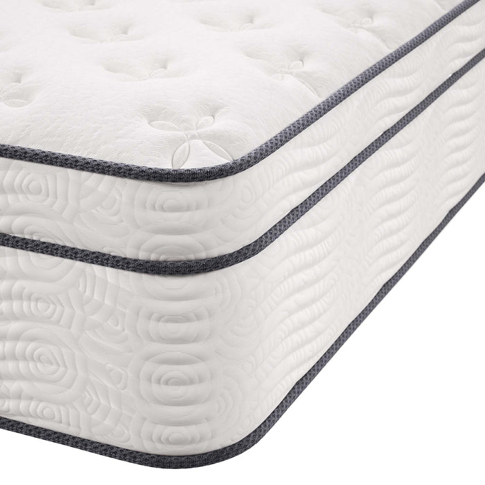 Jenna 14" Innerspring and Foam Twin Mattress by Modway