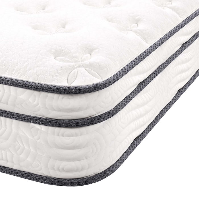 Jenna 8" Innerspring and Foam Twin Mattress by Modway