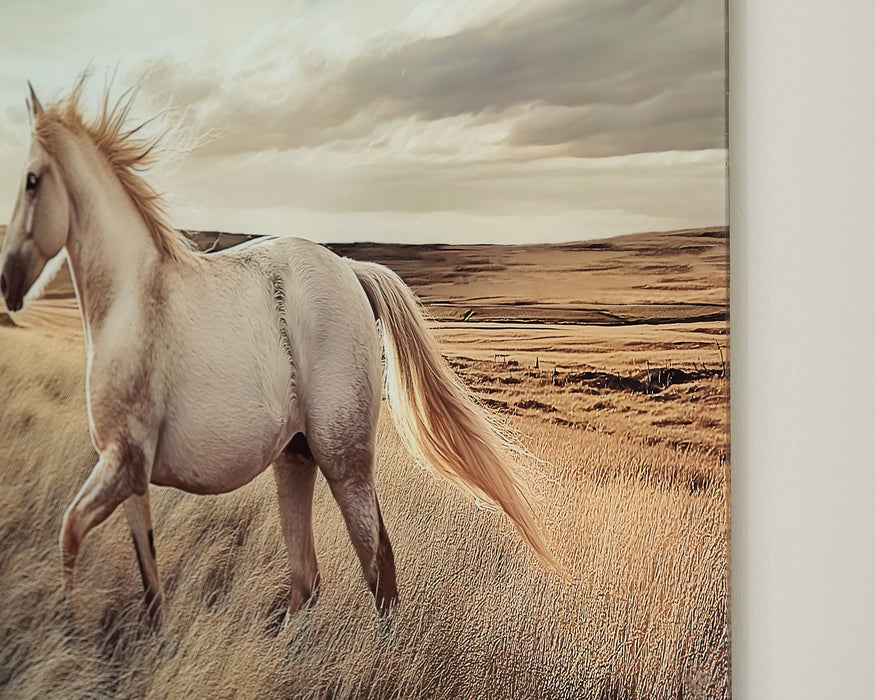 Ashley Express - Errolville Wall Art